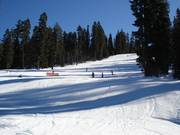 Pistes en clairière forestière dans le domaine skiable Sierra at Tahoe