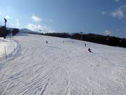 Large et facile piste Family