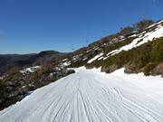 Piste Mother Johnson's Return