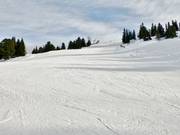 Partie supérieure piste Rennstrecke