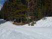 Ski nordique Ouest canadien – Ski nordique Mt. Norquay – Banff