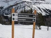 Signalisation des pistes
