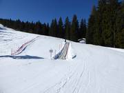 Tapis roulant à Fiorentini