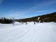 Piste d'entraînement Gaiastova