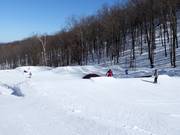 SnowPrk Bromont