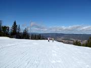 Sommet à 546 m dans le domaine skiable de Varingskollen