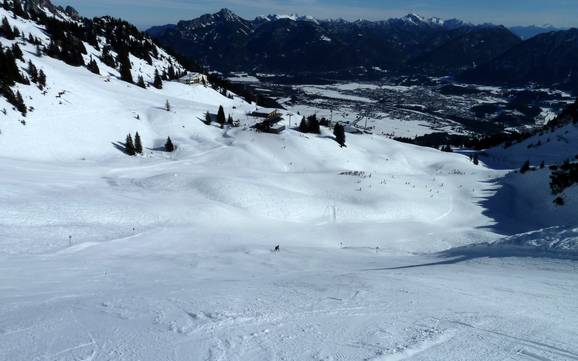 Naturparkregion Reutte: Taille des domaines skiables – Taille Hahnenkamm – Höfen/Reutte