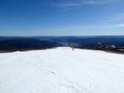 Piste facile et large Panoramabakken n° 19