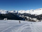 Piste facile Almwiese