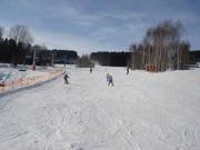 Pistes pour débutants