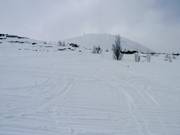 Zone de poudreuse à Gaustablikk