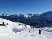 Pistes faciles en haut du domaine skiable