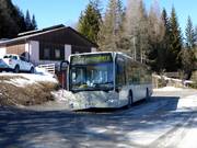 Skibus pour Fanningberg