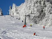 Almwiesenlift - Téléski à pioches