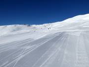 Piste Alp Dado