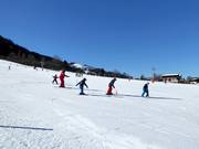 Zone pour débutants dans la vallée à Going