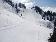 Rapide : la piste rouge Grande Roche