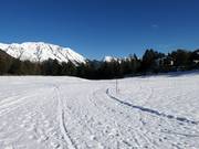 Pistes de ski de fond à Hoch-Imst