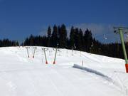 Wasenlift I - Téléski à pioches