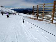 Baby 1 (Kellaria 1950) - Télécorde/remonte-pente à câbles bas