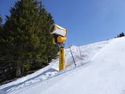 Canon à neige performant au Chuenisbärgli