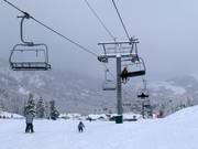 Littlecat Express - 4 places | Télésiège rapide (débrayable)