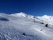 Des pentes de poudreuse infinies dans le Hochzillertal