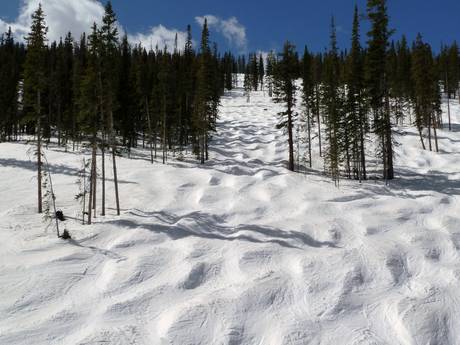 Domaines skiables pour skieurs confirmés et freeriders Chaînon frontal des Rocheuses – Skieurs confirmés, freeriders Winter Park Resort