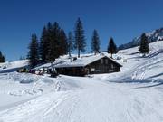 Chalet de restauration recommandé : Bäsäbeiz Waldhüttli