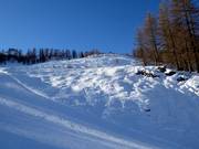 Zone freeride Gamskogel