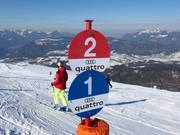 Signalisation claire des pistes