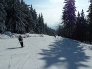 Descente sud Ochsenkopf