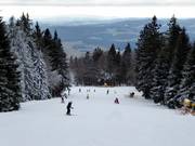 Piste facile Stierwiesenabfahrt