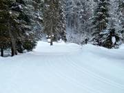 Piste de ski de fond dans le Lammertal