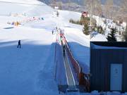 Zauberteppich Goldeck - Tapis roulant/Moving Carpet