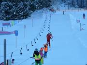 Bingojet - Télécorde/remonte-pente à câbles bas