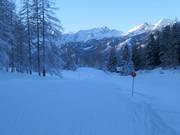 Descente vers la vallée n° 2