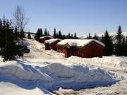 Chalets en rondins directement sur les pistes