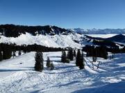 Vue sur le domaine skiable Grasgehren