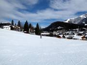 Pistes faciles dans le domaine skiable des Birkenlifte & Geigenbühel