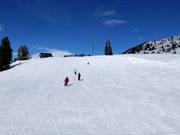 Très bonne préparation des pistes à Brighton