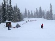 Tapis roulant pour débutants à la station supérieure de la Red Pine Gondola