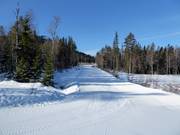 Piste facile Skogsnigeln