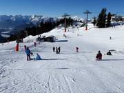 Vue sur la piste facile au téléski Ötzilift