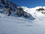 Téléski Lac de Bretaye (Villars)