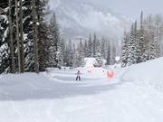 Zone d'entraînement au tapis roulant Caterpillar