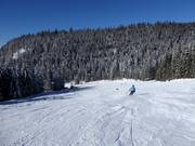 Piste Zigeuner-Abfahrt