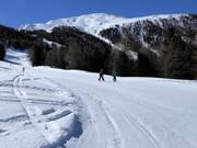 Piste plate dans la partie supérieure généralement sportive