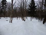 Piste facile La Casimir