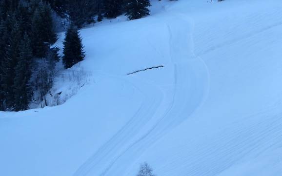 Ski nordique Leoganger Tal (vallée de Leogang) – Ski nordique Saalbach Hinterglemm Leogang Fieberbrunn (Skicircus)
